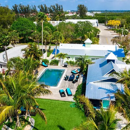 Villa #7 Ami Lime Fish